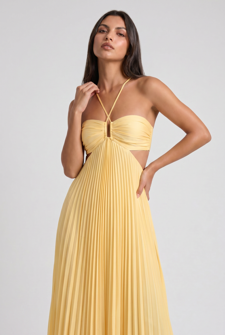 Isabelle - Pleated Halter Maxi Dress